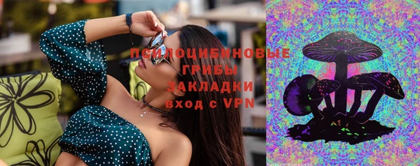 трава Каменногорск