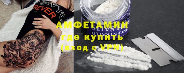 PSILOCYBIN Каменка