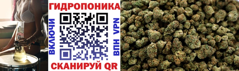 Купить закладки  Дубовка  МАРИХУАНА тримм 